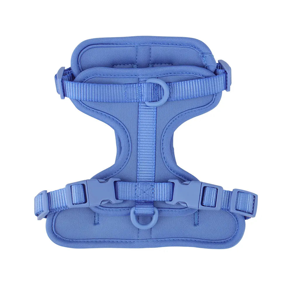 Dog vest harness in blue, flat lay