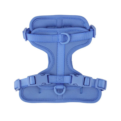 Dog vest harness in blue, flat lay