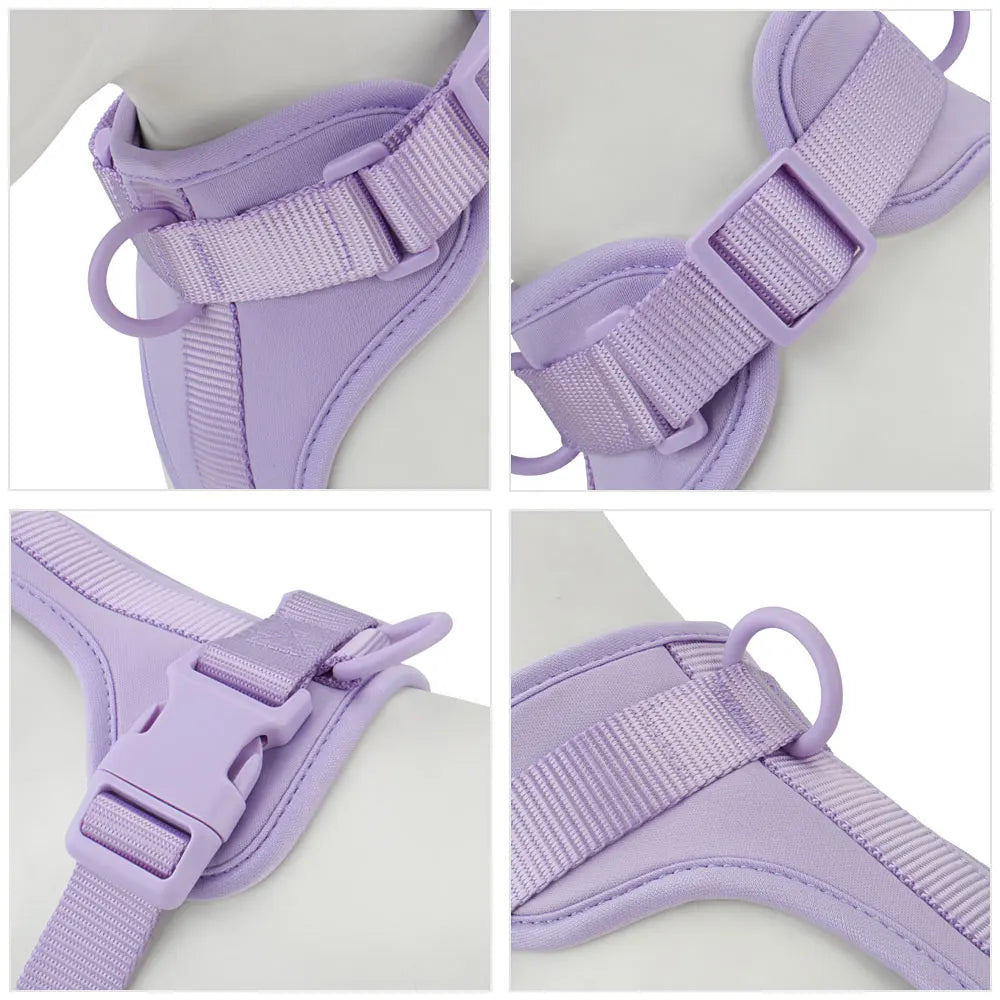 Close-up of dog vest harness buckles, D-ring and padded lining