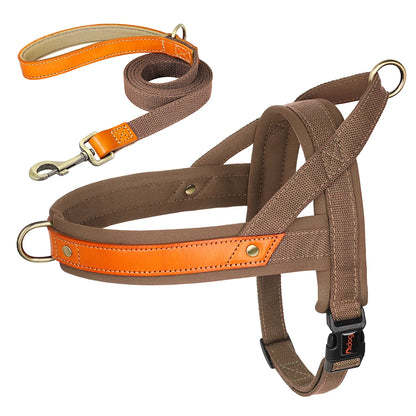 best no pull dog harness