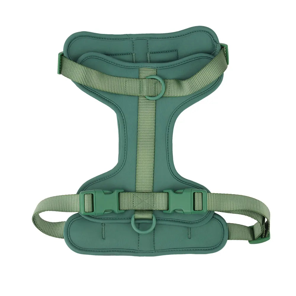 Dog vest harness in green, flat lay