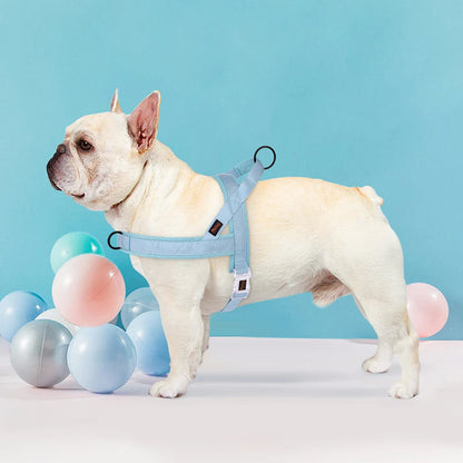 Soft No Pull Dog Harness in Pastel Color (Padded Nylon Harnesses)