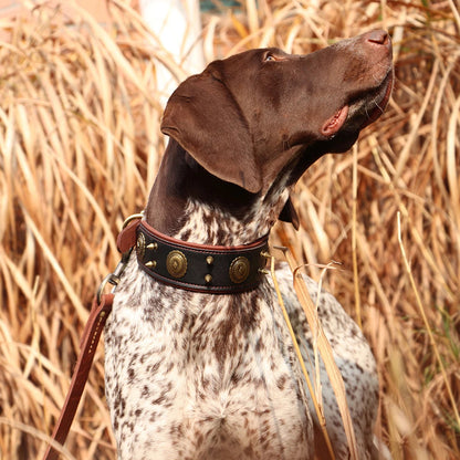 Genuine Leather Stud Dog Collars | Vintage Style Spiked Dog Collar