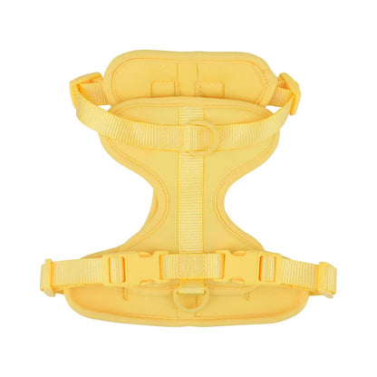 Dog vest harness in yellow, flat lay