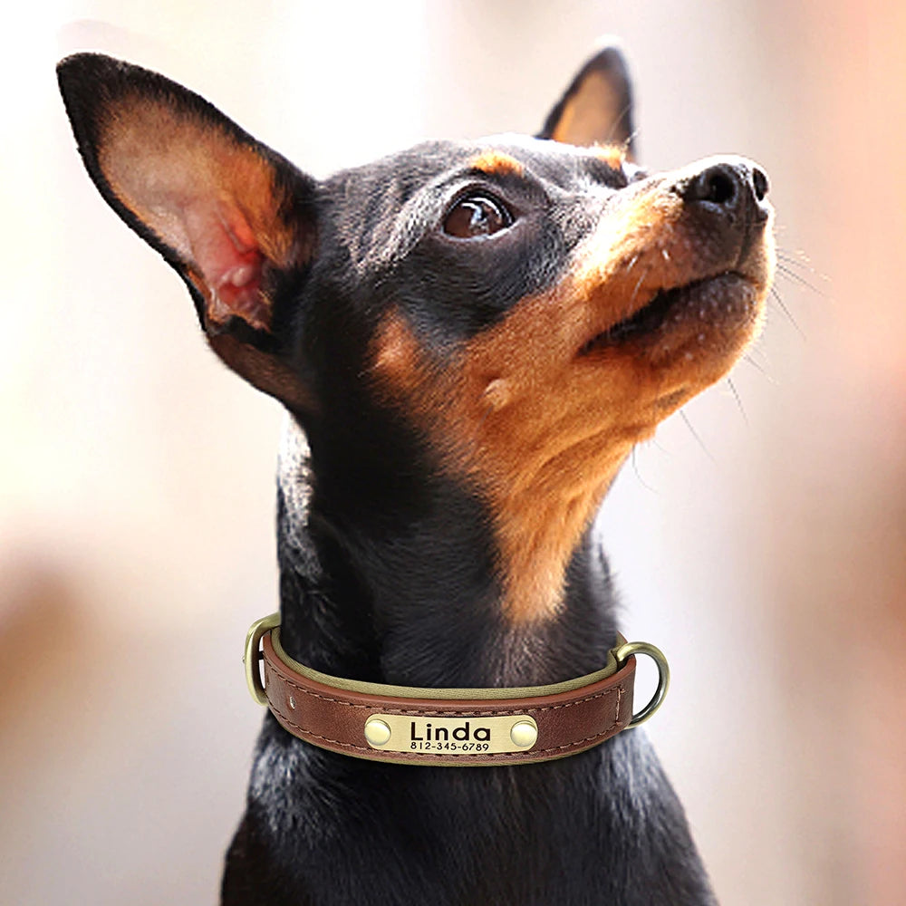 tiny leather dog collars personalized