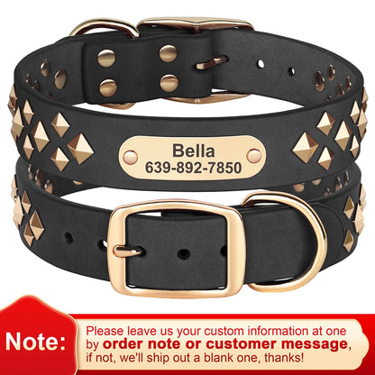 spiked dog collar