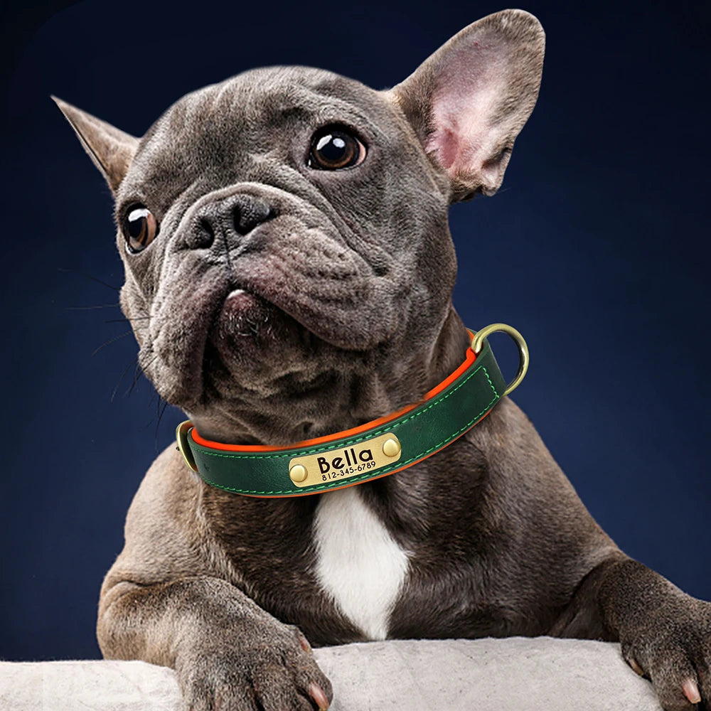 Personalized Leather Dog Collars