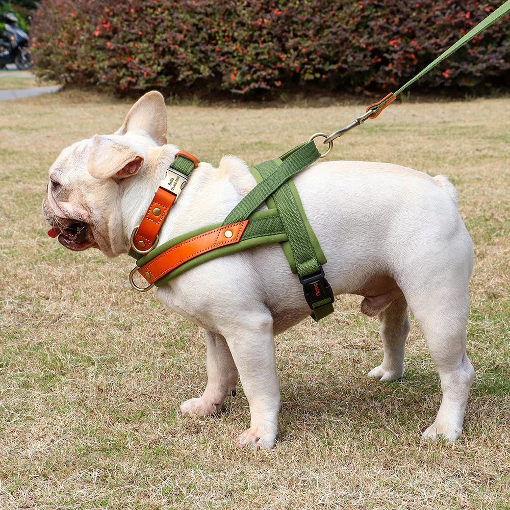 dog harness no pull