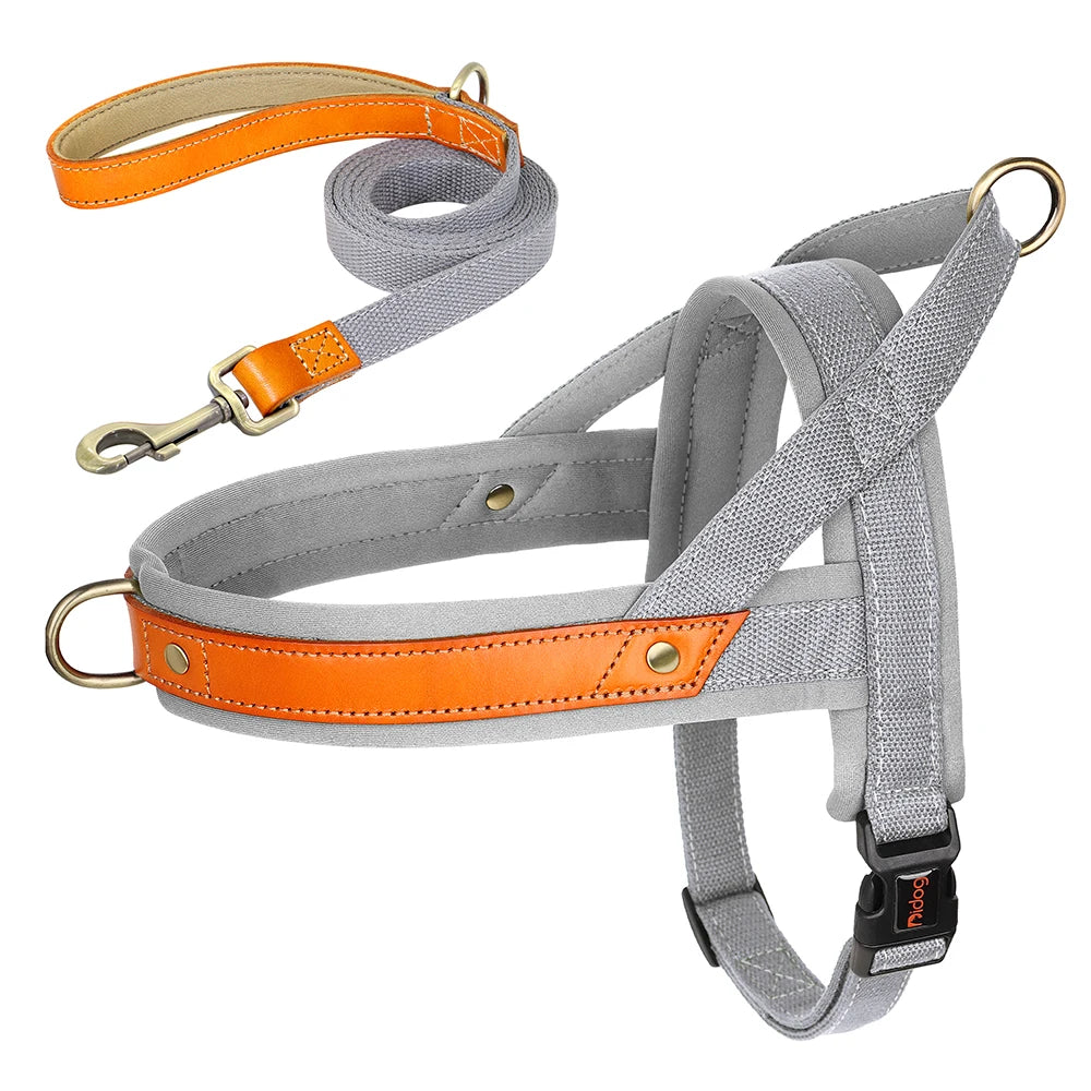 best no pull dog harness