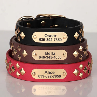 studded dog collars