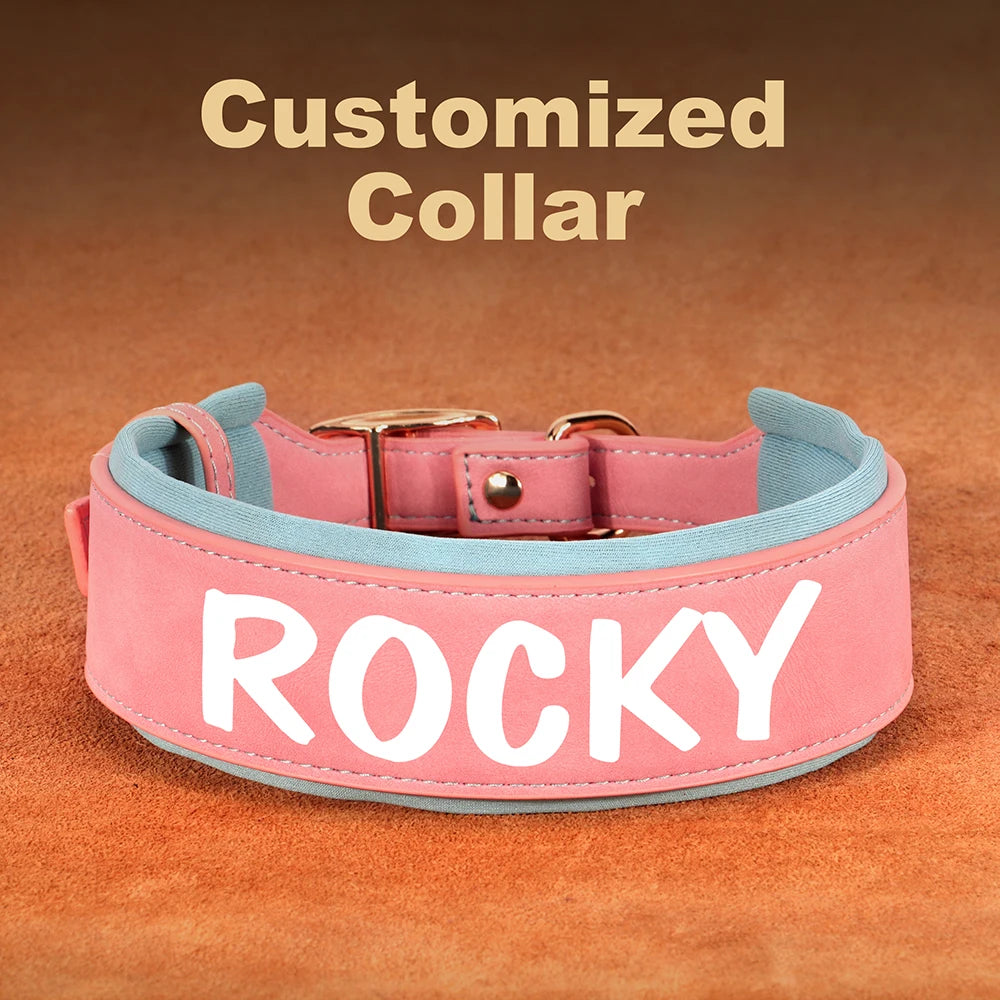 custom dog collars