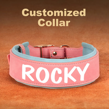 custom dog collars