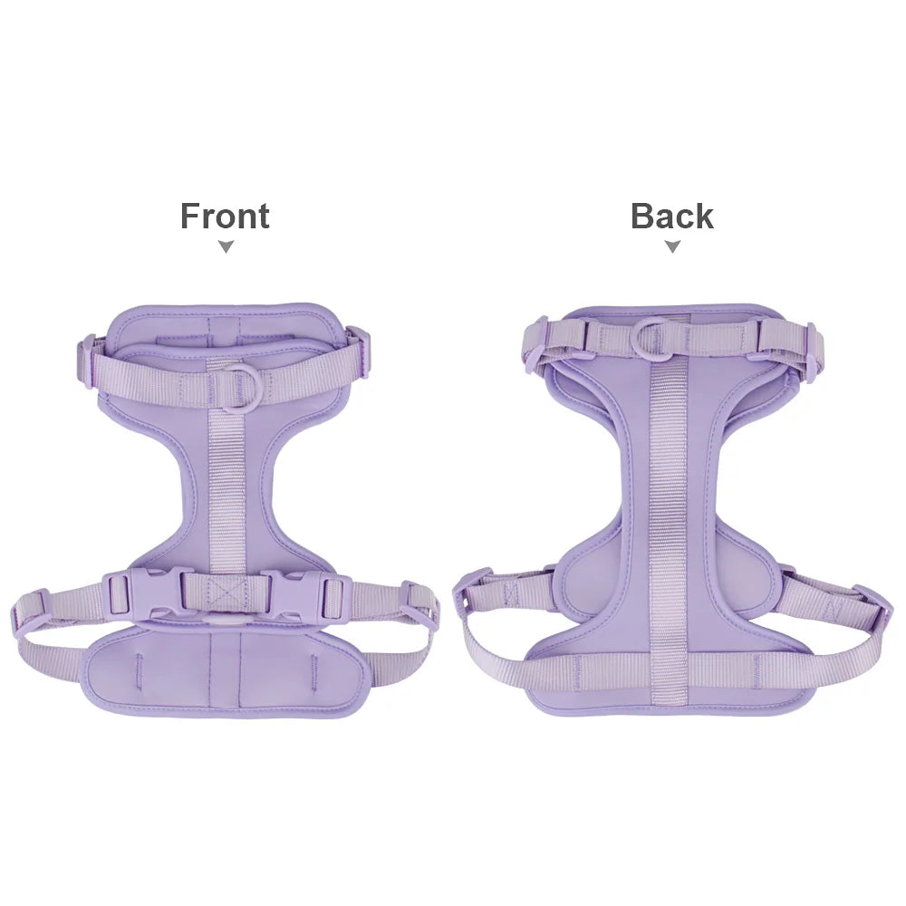 Dog vest harness front and back view in purple