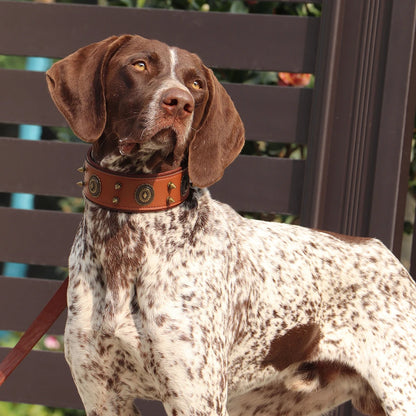 Genuine Leather Stud Dog Collars | Vintage Style Spiked Dog Collar