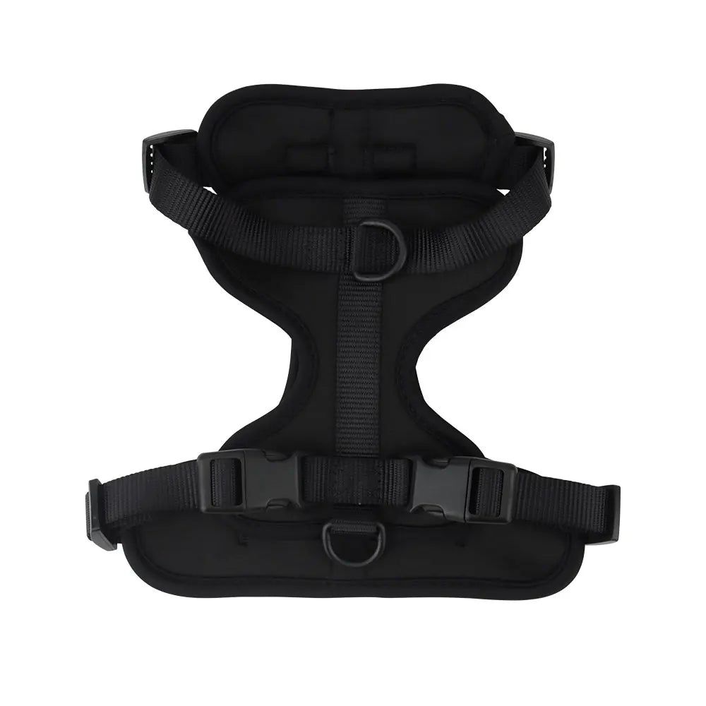 Dog vest harness in black, flat lay