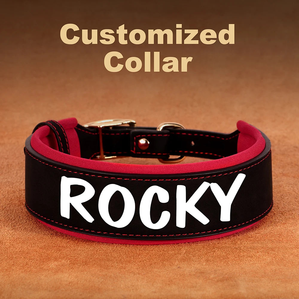 custom dog collars