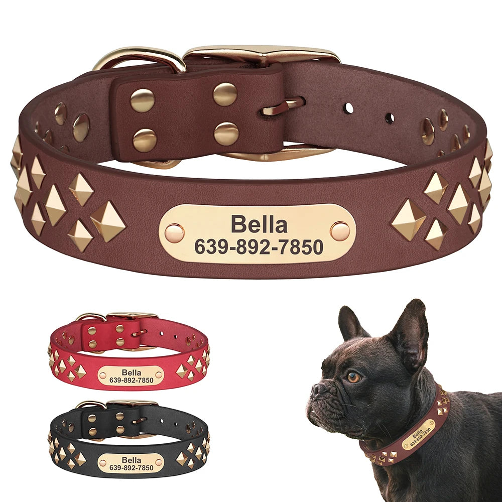 Custom Spiked Dog Collars with Name | Leather Studded Dog Collars