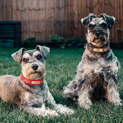 leather stud dog collars