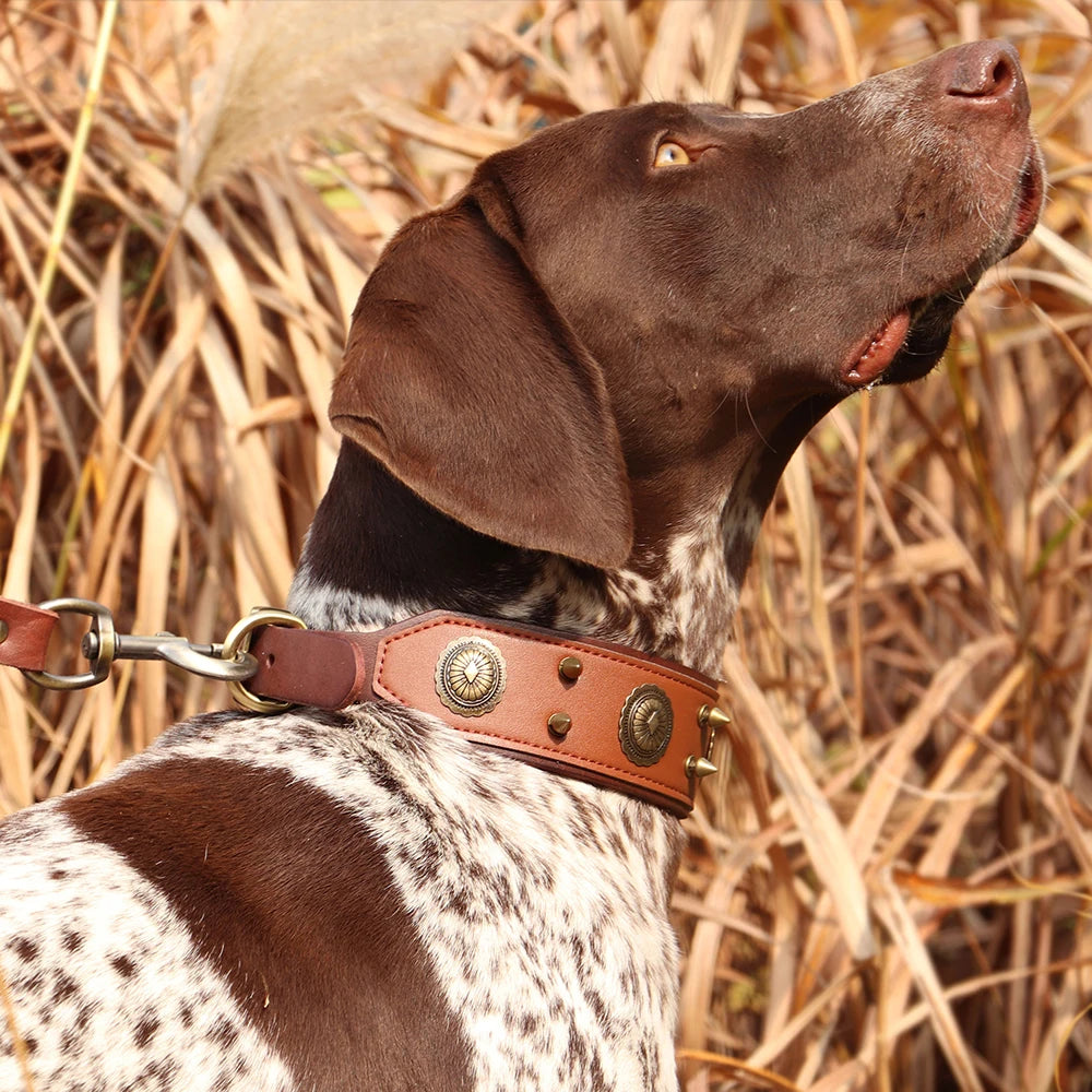 Genuine Leather Stud Dog Collars | Vintage Style Spiked Dog Collar