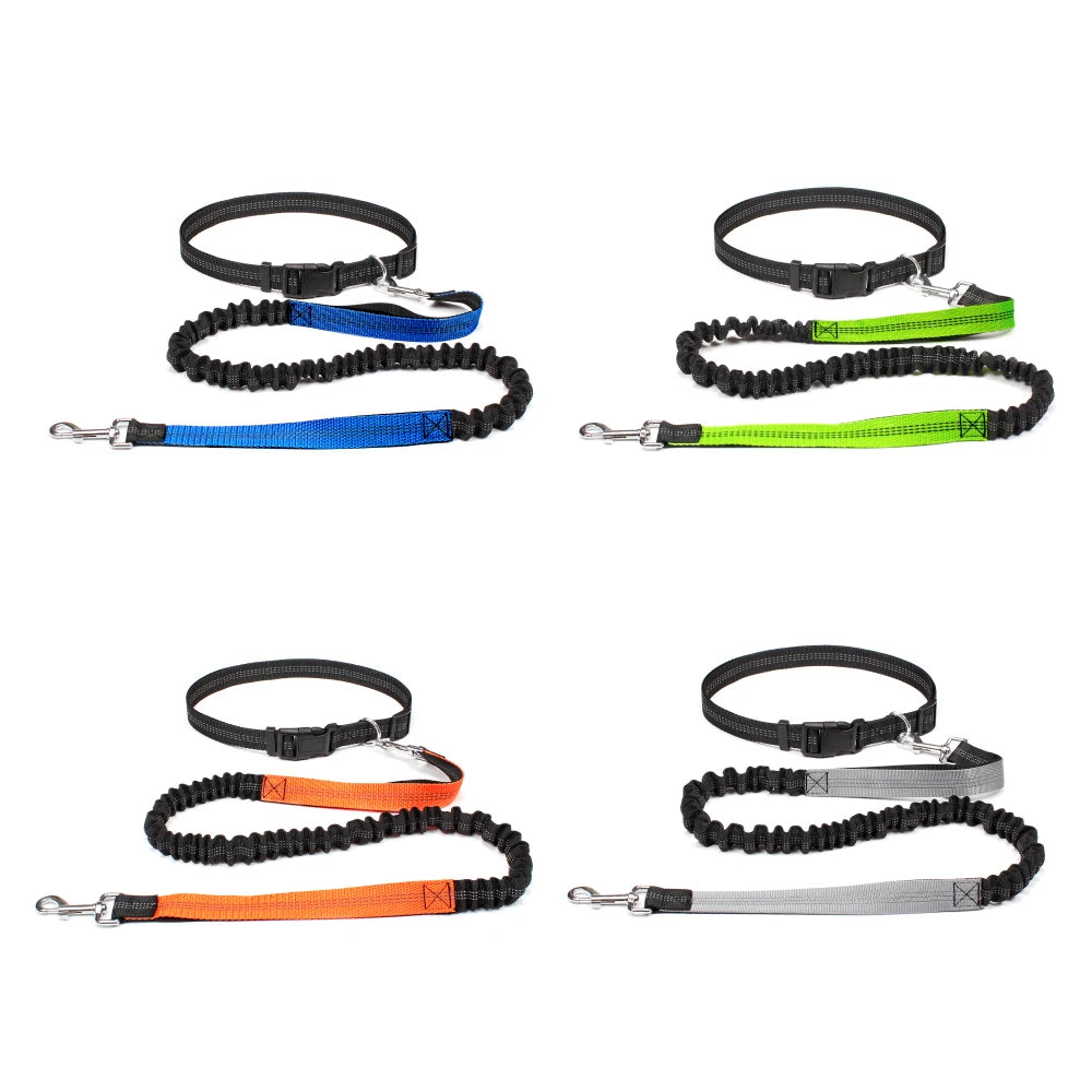 Adjustable Waist Leash for Dogs | Hand Free Dog Leash for Running