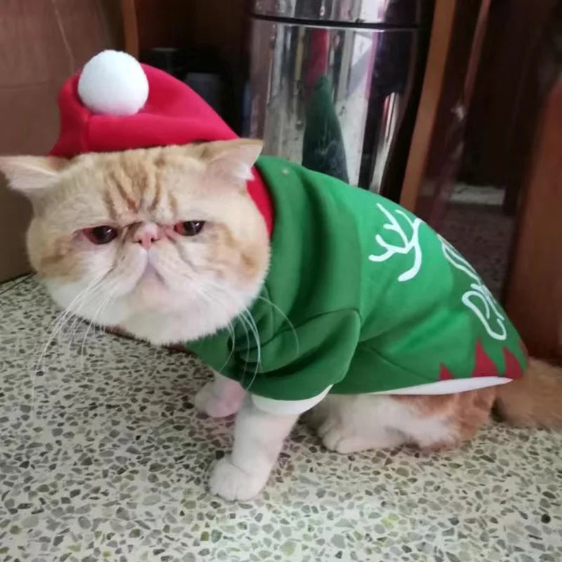 Green Holiday Elf | Hooded Christmas Cat Sweater for Cats