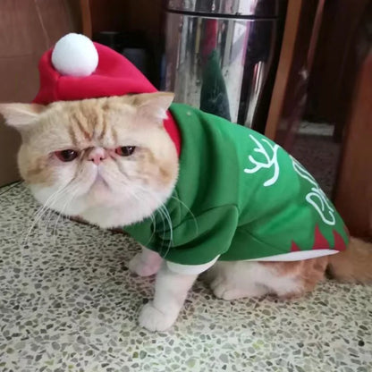 Festive Santa Hood | Hooded Christmas Cat Sweater for Cats