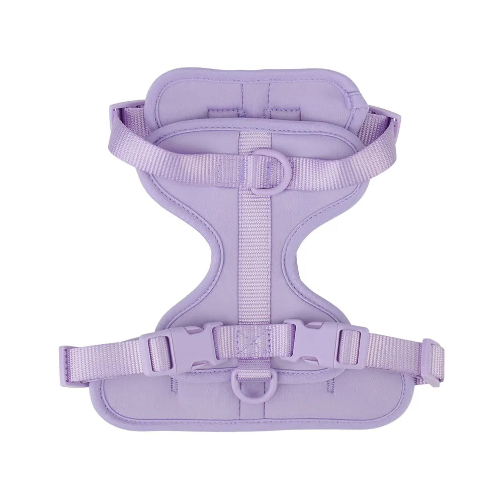Dog vest harness in purple, flat lay