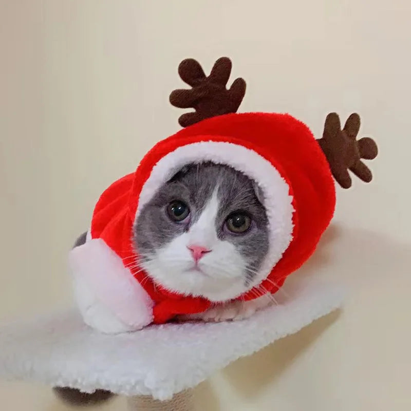 Reindeer Wonderland | Hooded Christmas Cat Sweater for Cats