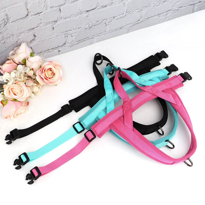 Small Dog Harness No Pull