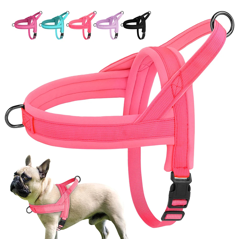 Small Dog Harness No Pull | Nylon Dog Harness for Small Dogs