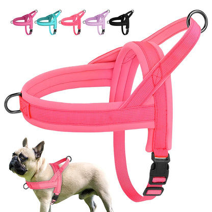Small Dog Harness No Pull | Nylon Dog Harness for Small Dogs