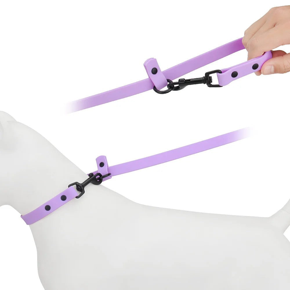 Adjustable leash clipped to a dog collar on a walk
