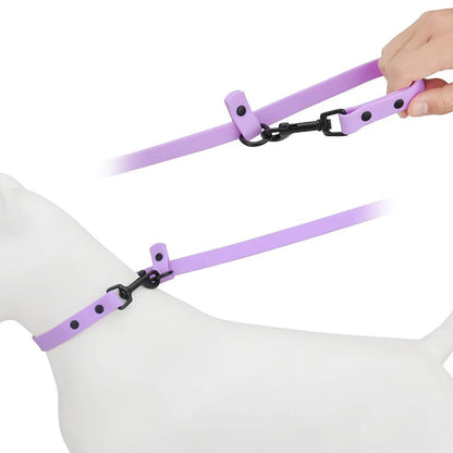 Adjustable leash clipped to a dog collar on a walk