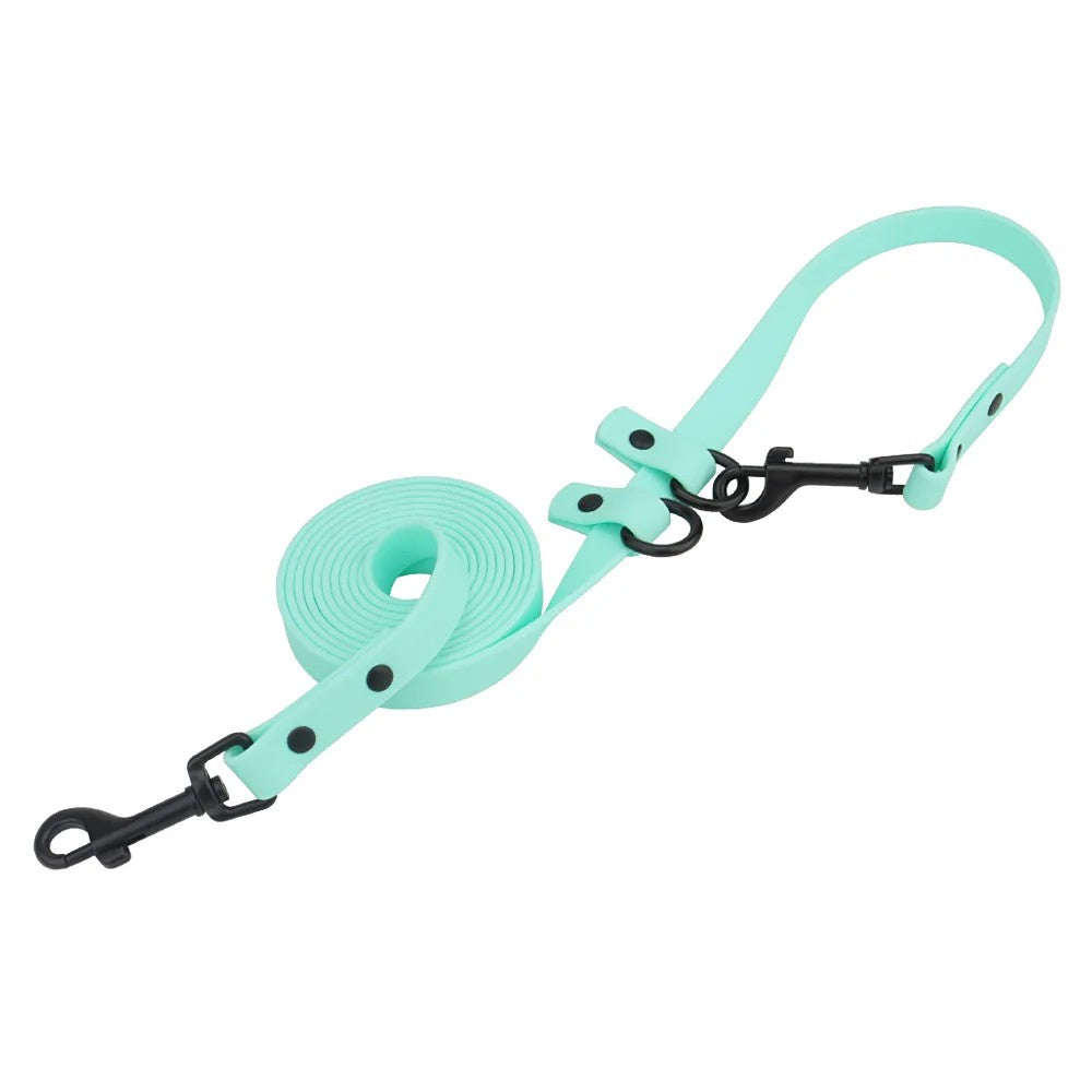 Mint double-ended adjustable dog leash