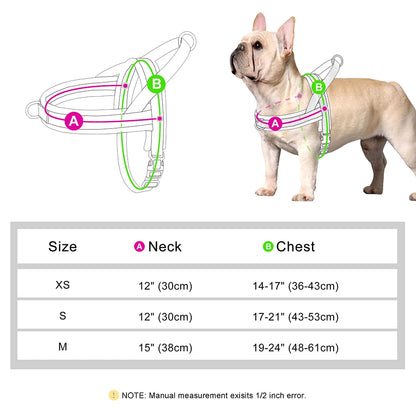 best no-pull dog harness for small dogs