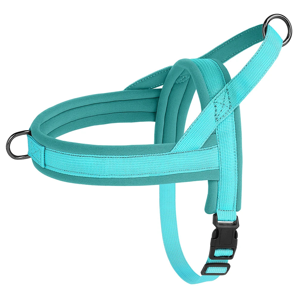 blue small no pull dog harness, nylon dog harness