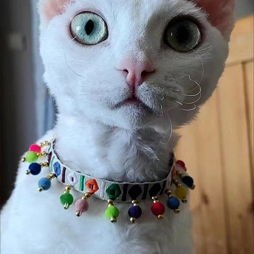 White cat wearing a boho cat necklace with colourful bead tassels