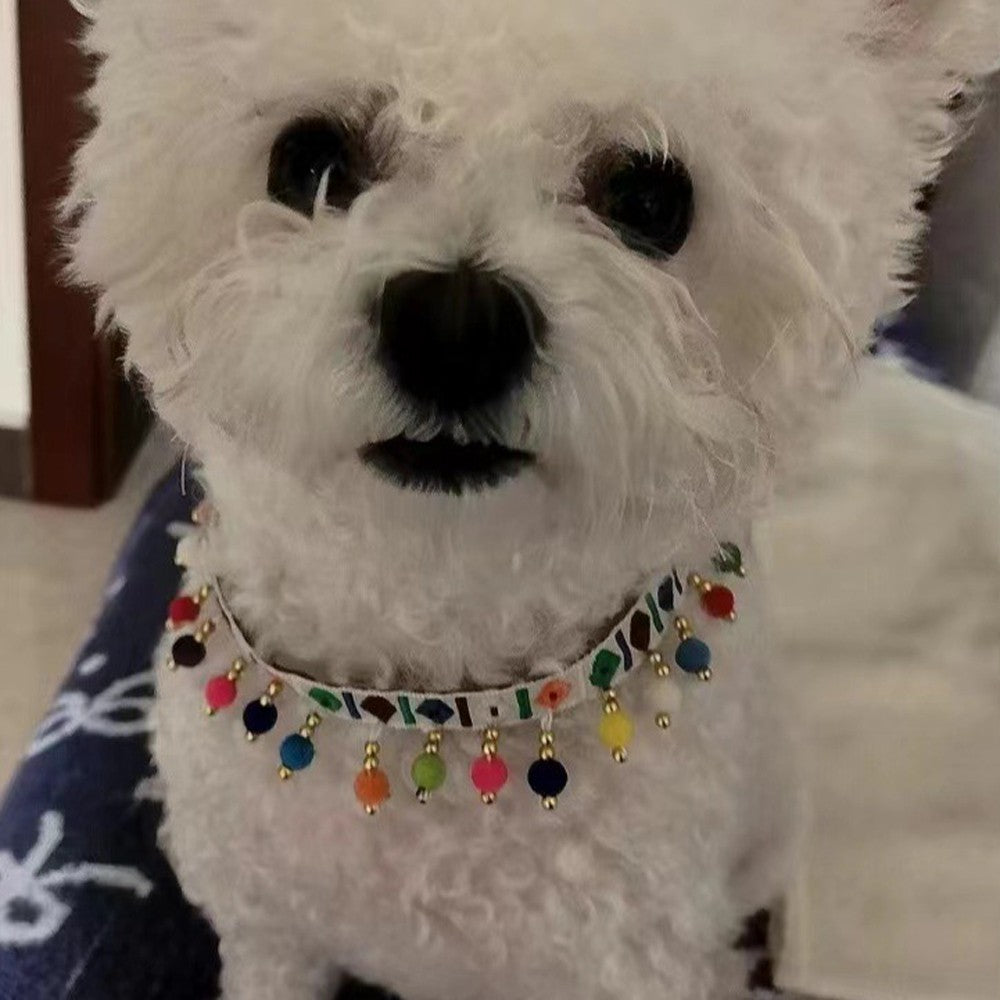 White fluffy dog wearing the boho bead necklace collar