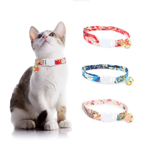 Kitten wearing a cherry blossom cat collar, with pink, blue and red styles