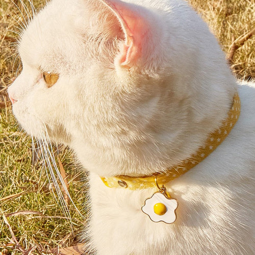 Cat wearing a cute yellow polka dot cat collar with a fried egg charm