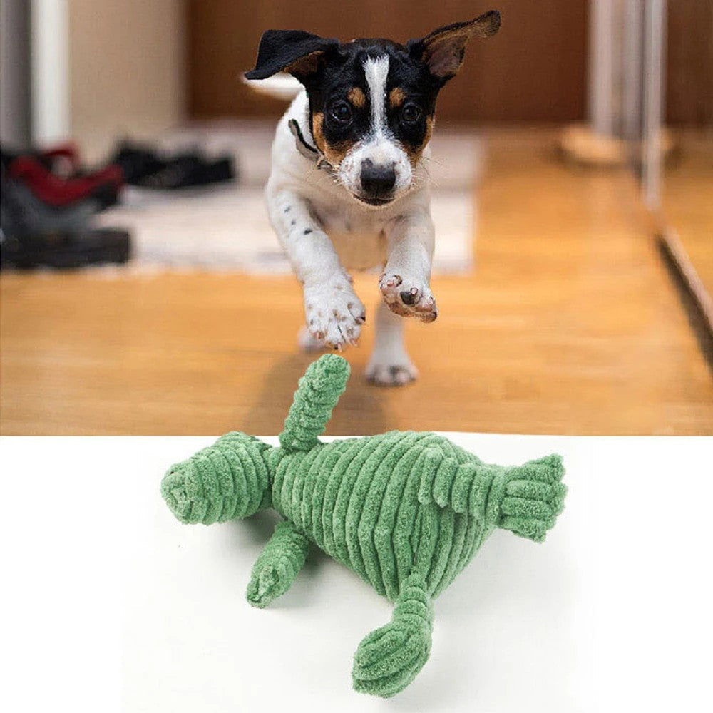 Small dog running with the dinosaur squeaky toy shown below