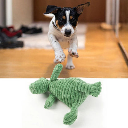 Small dog running with the dinosaur squeaky toy shown below