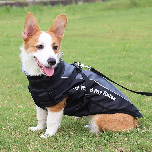 Corgi wearing the padded dog coat with built-in harness and faux fur collar