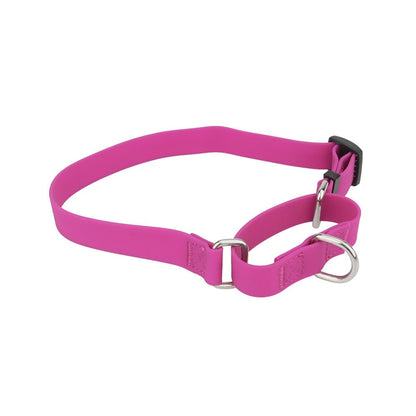 PVC dog collar with handle loop and metal D-ring