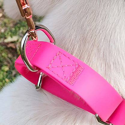 Close-up of the metal D-ring on the pink PVC collar with a lead attached