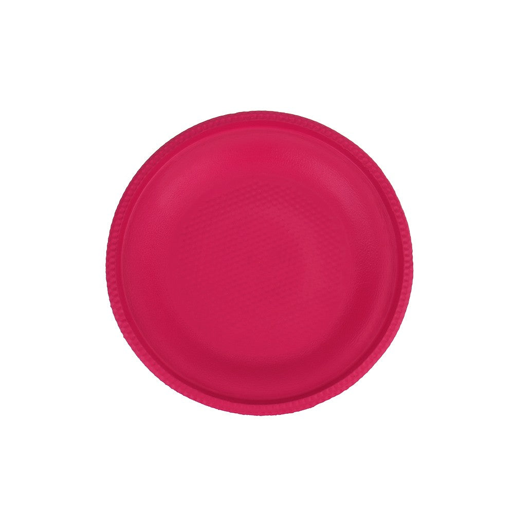 Red foam dog frisbee flying disc