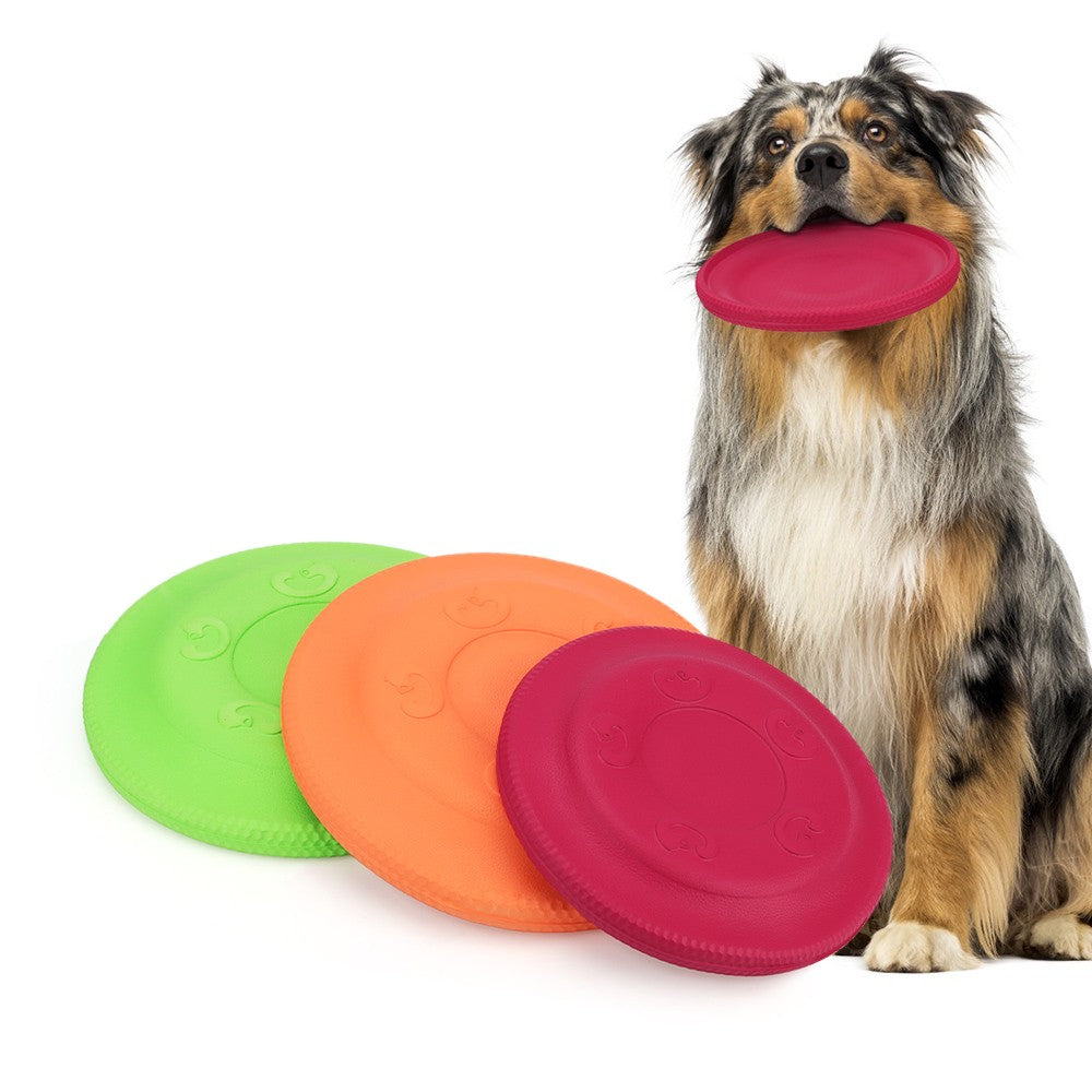 Australian shepherd holding a red foam dog frisbee beside orange and green discs