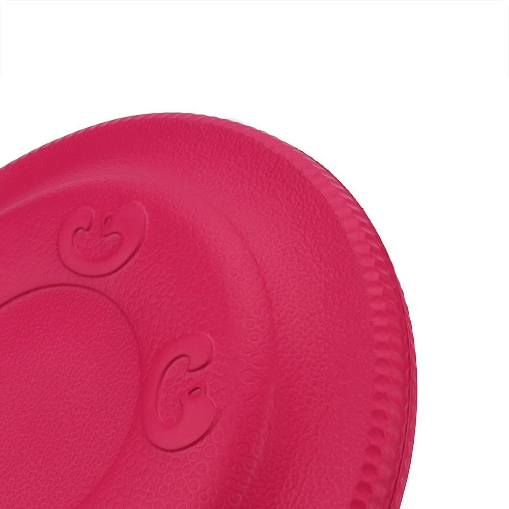 Close-up of the textured foam surface on the red dog frisbee