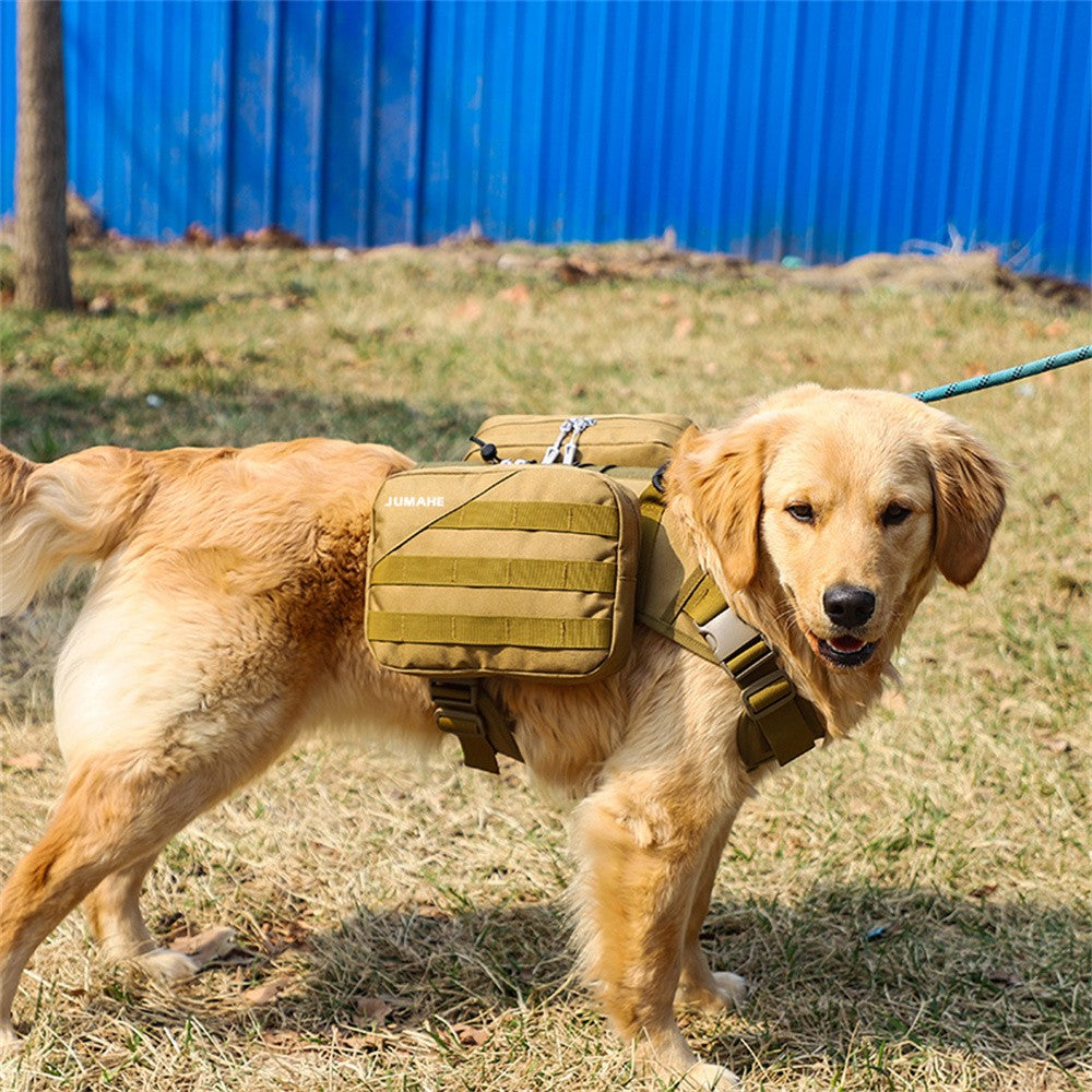 Golden retriever wearing the khaki dog saddle bag on a walk