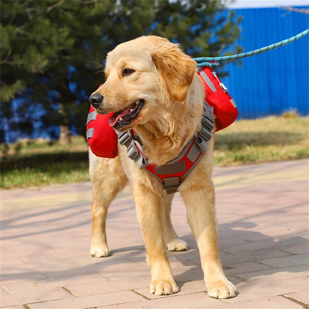Golden retriever wearing the red saddle bag, front view